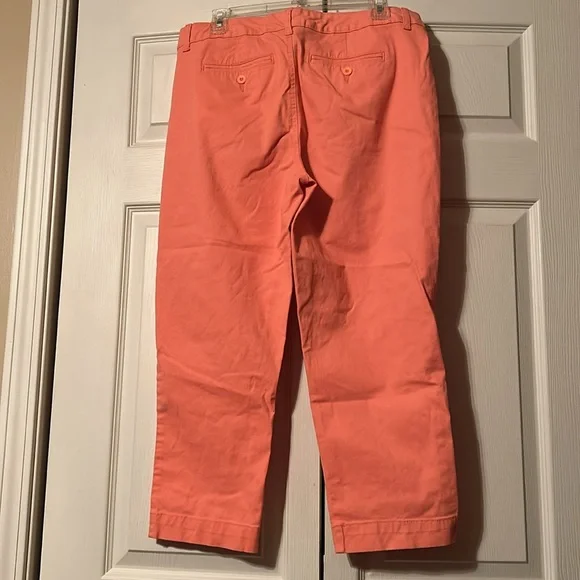 Style & Co.  Sz 10 Women’s Coral Pants - Picture 4 of 5